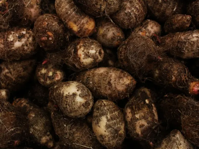 Ube Vs Taro: How To Tell Them Apart And Which To Use In 2026